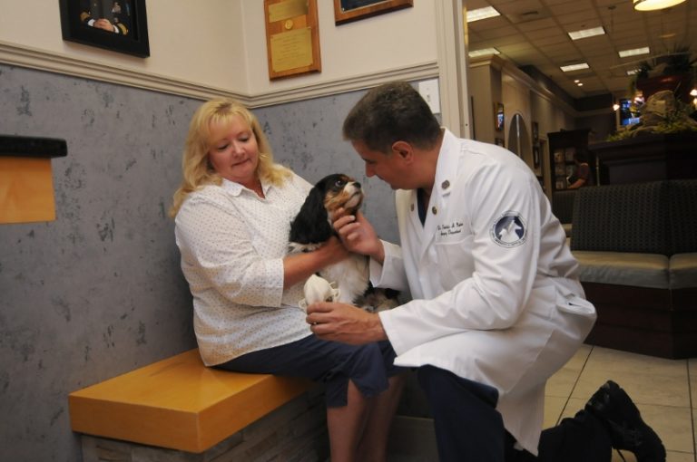 veterinarian greeting patient